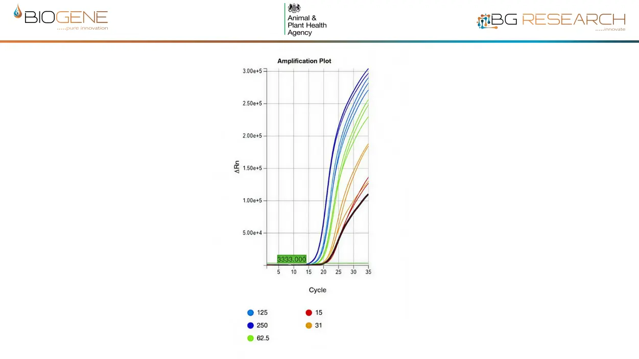 Direct detection of ASFV, spiked into whole pig blood from 6-800 virions/rxn