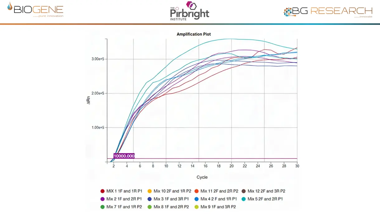 An SVV assay was developed to demonstrate that the CENOS Xtraction Free reagents could be used to rapidly deploy new assays in response to future emerging pathogens. Three tiled primers and two probes were tested using a dilution of SVV RNA extracted from a virus isolate. All primer combinations detected the SVV genomic RNA.